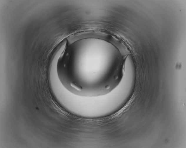 X0000096191449200802151453