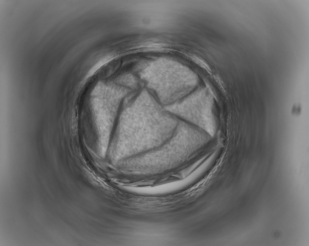 X0000096191450200802151453