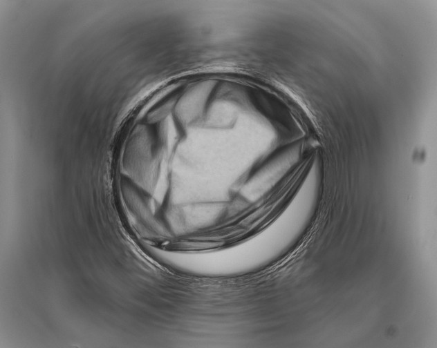 X0000096191452200802151453