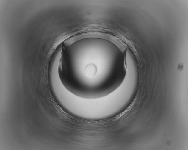 X0000096191453200802151453