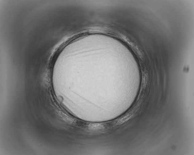 X0000096191454200802151453