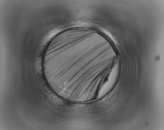 X0000096191455200802151453