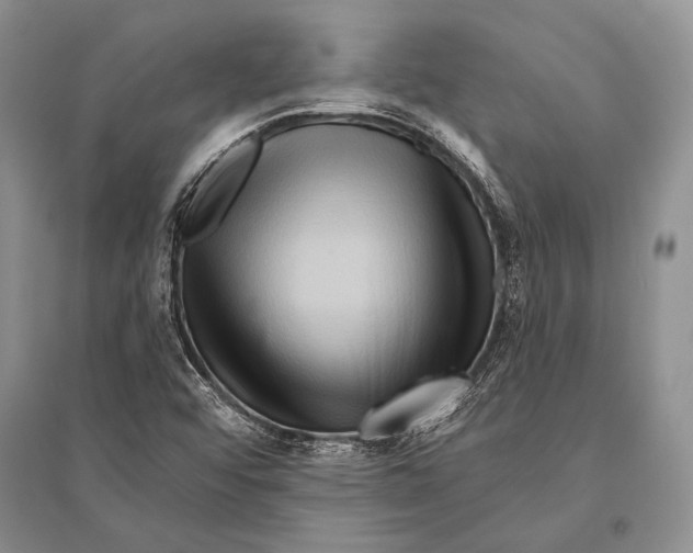 X0000096191456200802151453