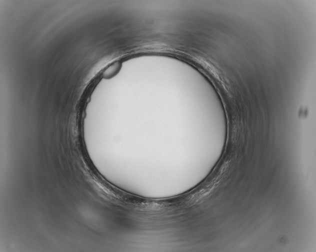 X0000096191458200802151453