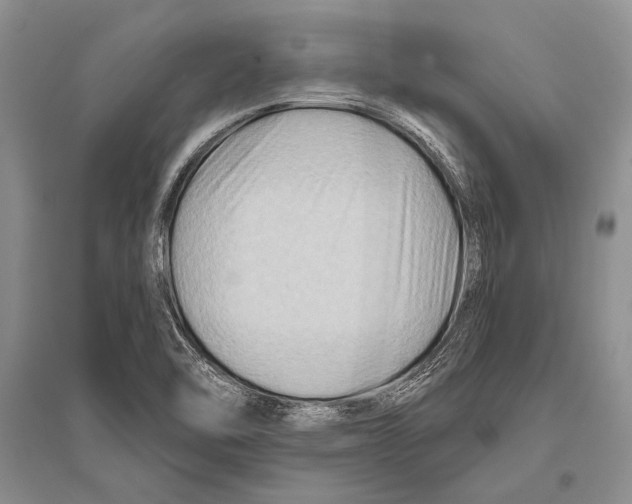 X0000096191462200802151452