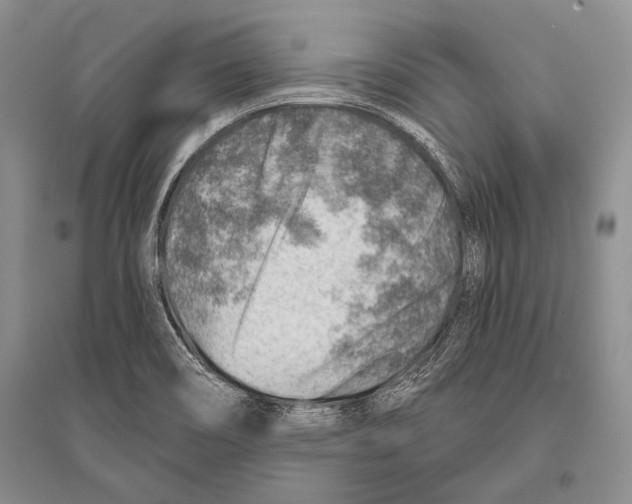 X0000096191466200802151452