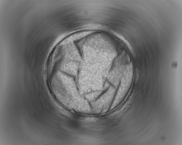 X0000096191467200802151452