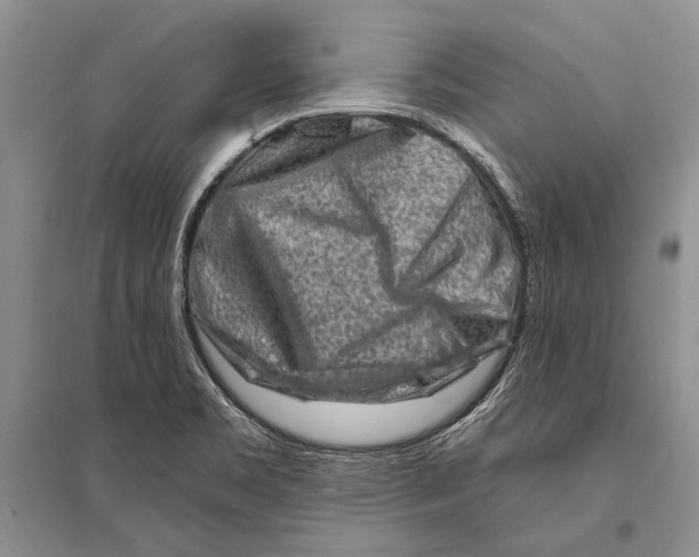 X0000096191469200802151452