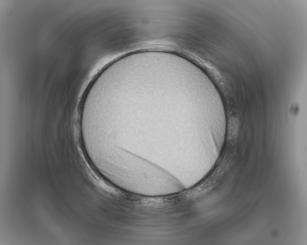 X0000096191470200802151452