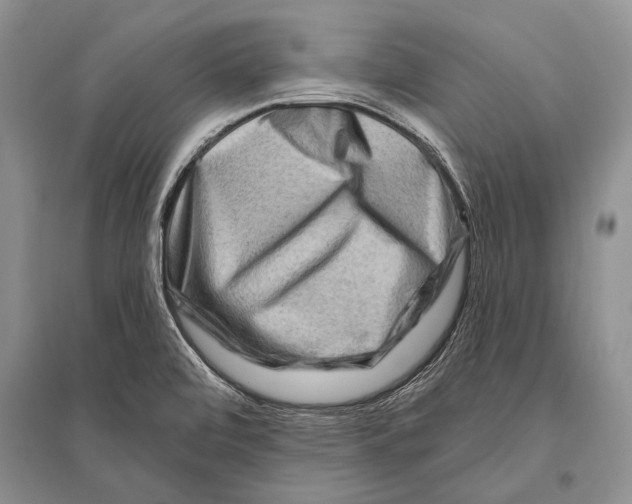 X0000096191472200802151452