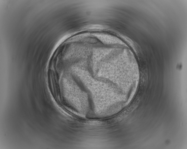 X0000096191475200802151452