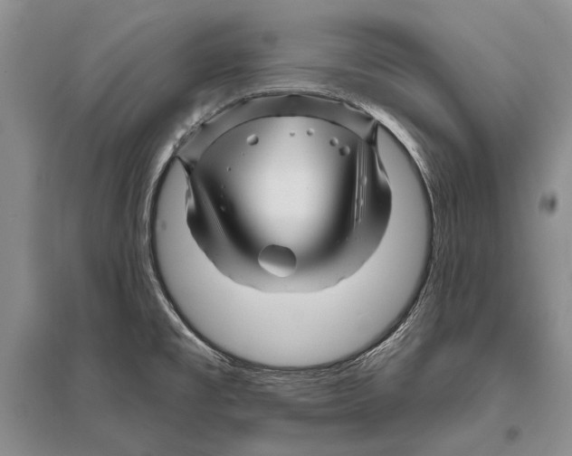 X0000096191477200802151452