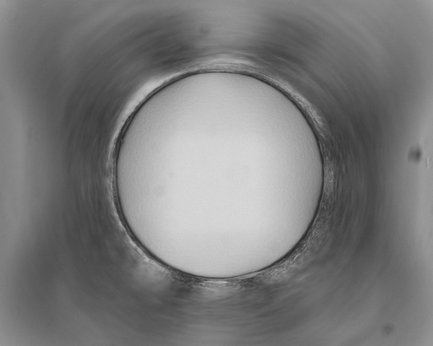 X0000096191478200802151452