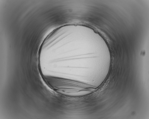 X0000096191479200802151452