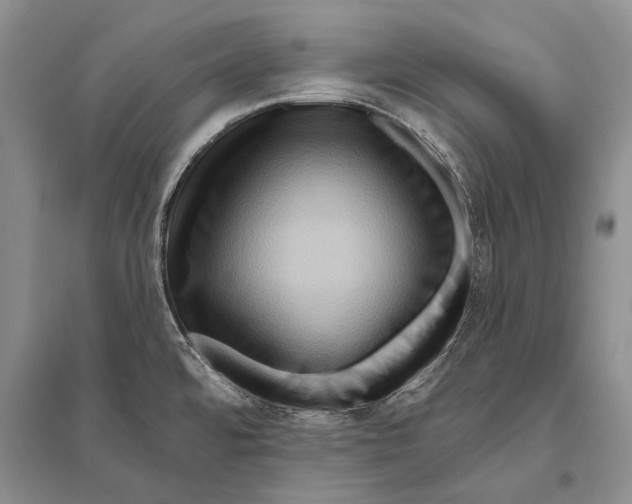 X0000096191480200802151452