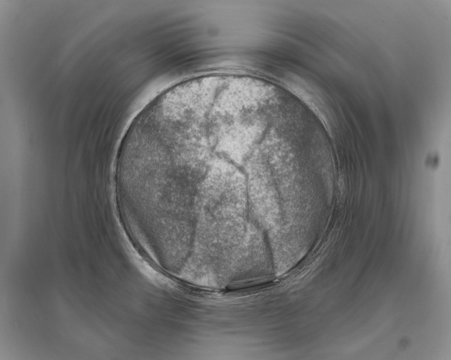 X0000096191482200802151452