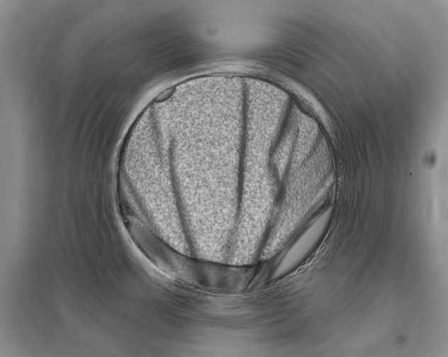 X0000096191483200802151452