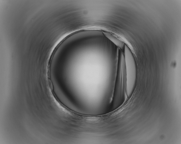 X0000096191484200802151452