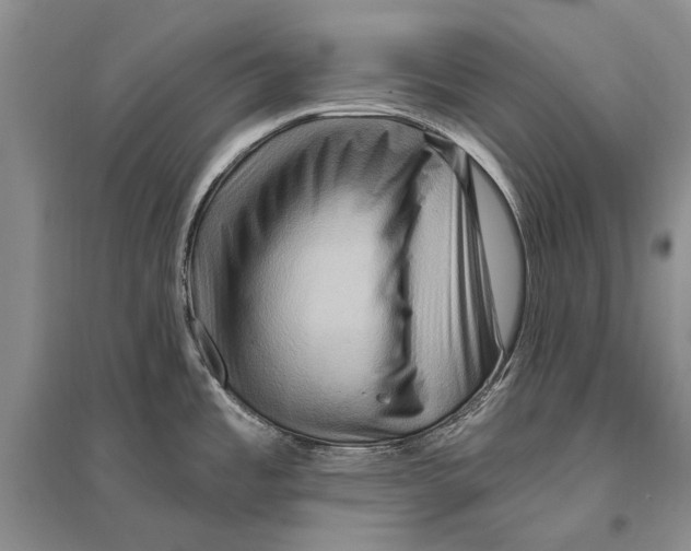 X0000096191485200802151452