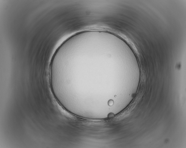 X0000096191486200802151452