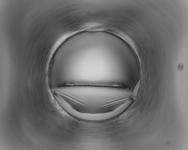 X0000096191488200802151452