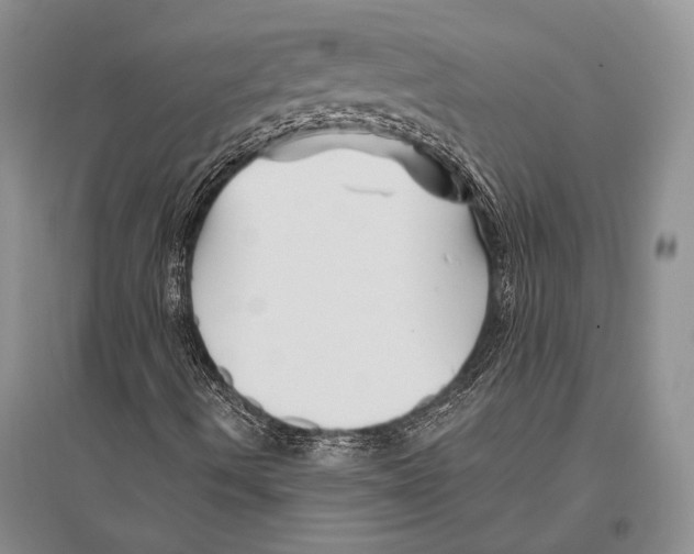 X0000096191490200802151451