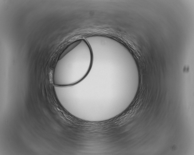 X0000096191492200802151452