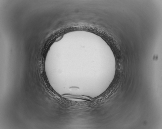 X0000096191493200802151452