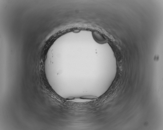 X0000096191495200802151452