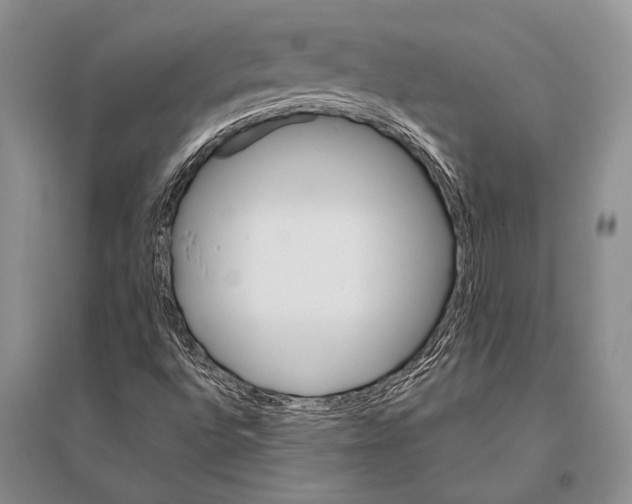 X0000096191496200802151452