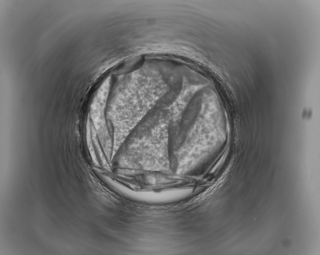 X0000096191497200802151452