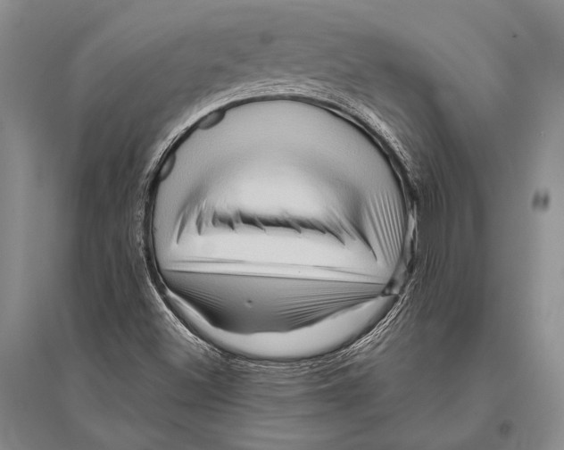 X0000096191500200802151452