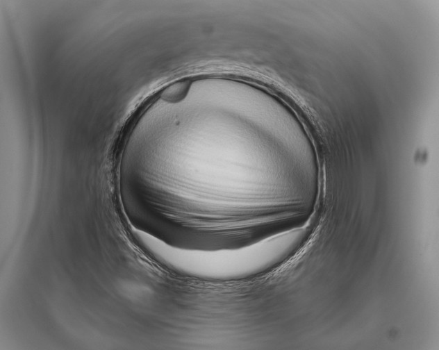 X0000096191501200802151452