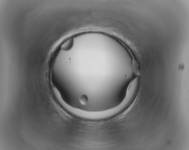 X0000096191502200802151452