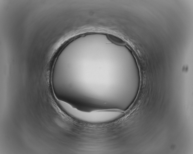 X0000096191503200802151452