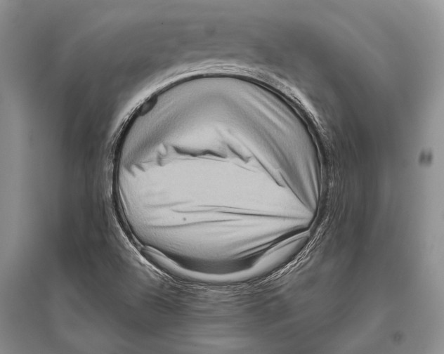 X0000096191504200802151452