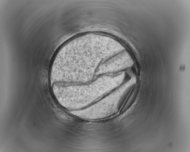 X0000096191505200802151452