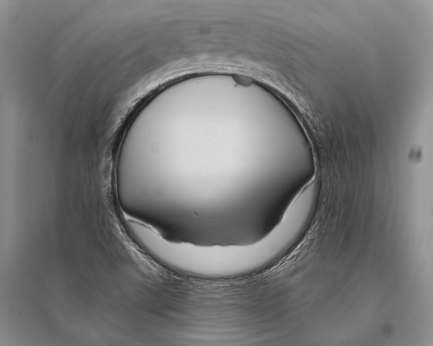 X0000096191507200802151452