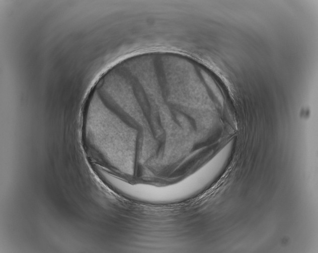 X0000096191508200802151452