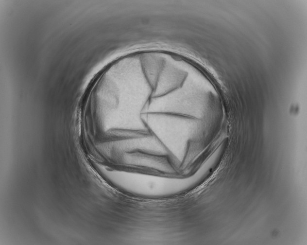 X0000096191510200802151452