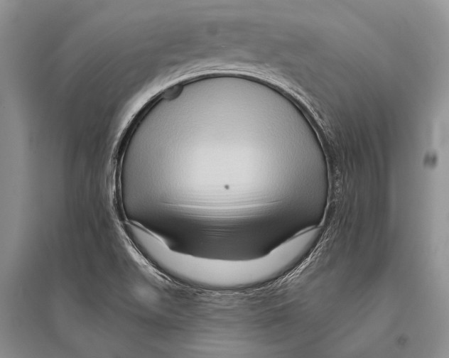 X0000096191511200802151452