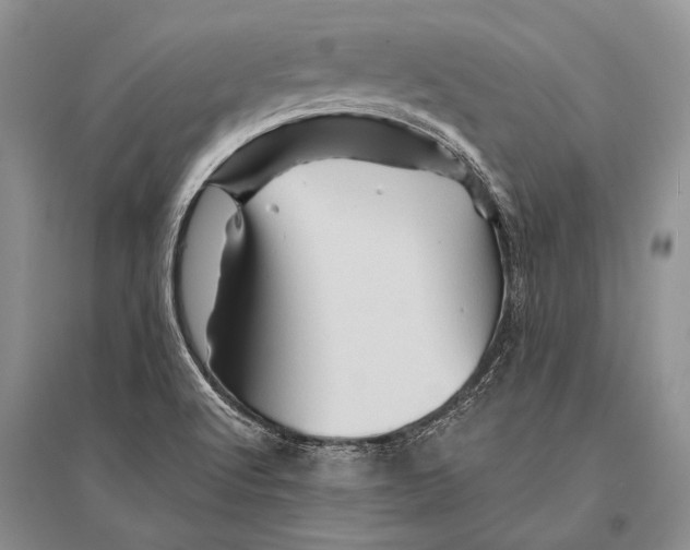 X0000096191512200802151452