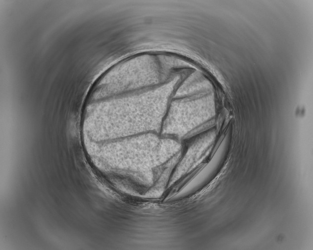 X0000096191513200802151452