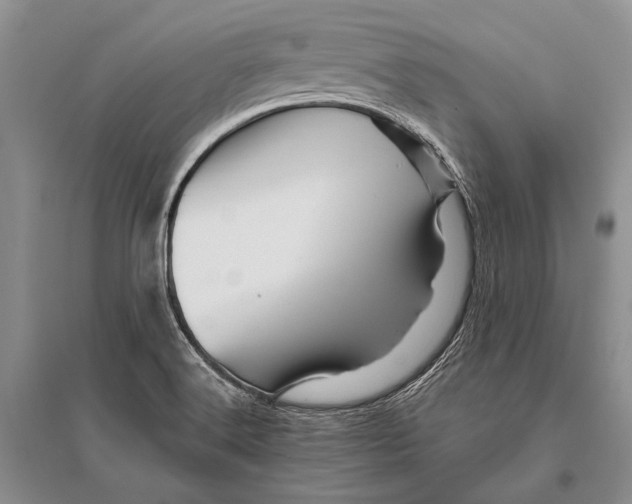 X0000096191516200802151452