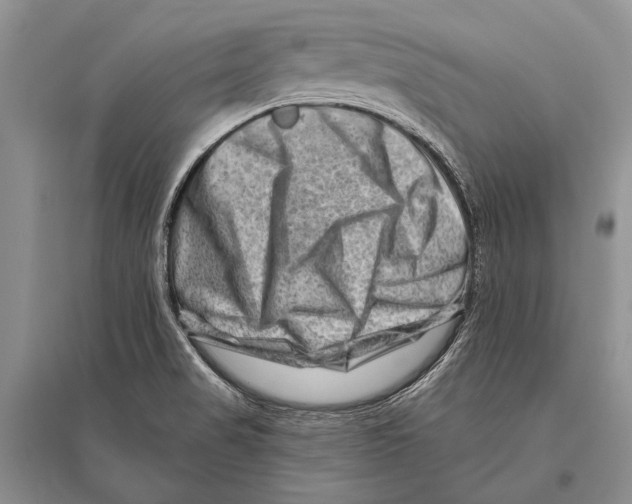 X0000096191517200802151452