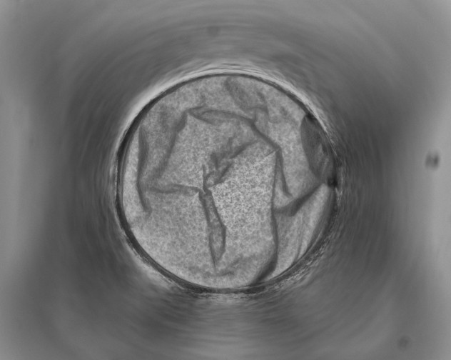 X0000096191519200802151452