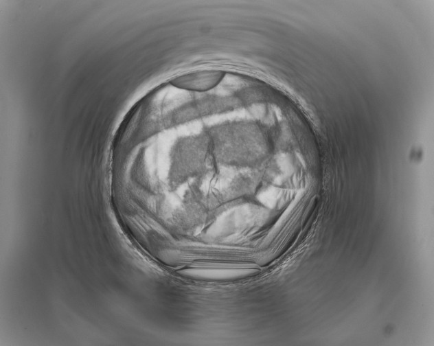 X0000096191522200802151452