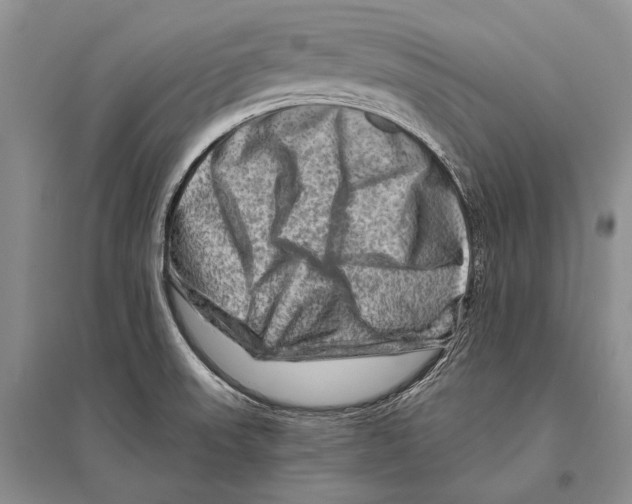 X0000096191523200802151452