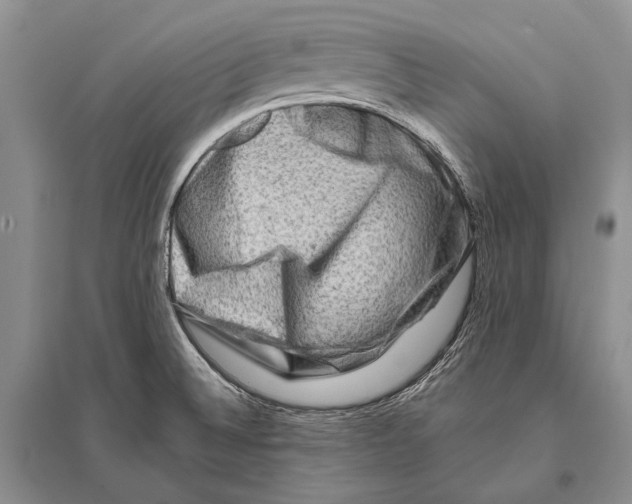 X0000096191524200802151452