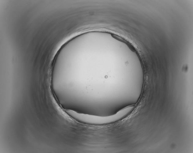 X0000096191526200802151452